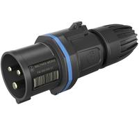 Walther Werke FW211306SK FW211306SK Mâle CEE 16 A 3 pôles 250 V 1 pc(s)