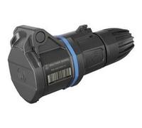 Walther Werke FW311306SK FW311306SK Femelle CEE 16 A 3 pôles 250 V 1 pc(s)