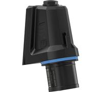 Walther Werke FW710306CC Prise murale mâle CEE 16 A 3 pôles 230 V 1 pc(s)