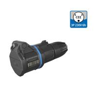 Walther-Werke Femelle CEE FW311306SK 16 A 3 pôles 250 V 1 pc(s)