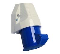 Walther-Werke Prise murale femelle CEE 130306 32 A 3 pôles 230 V G