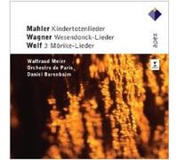 WALTRAUD/BARENBOIM,DANIEL MEIER - KINDERTOTENL...CD NEW