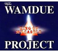 Wamdue Project - King of My Castle