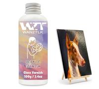 WAN2TLK Vernis Acrylique, Vernis Acrylique Brillant, Scelle et Protège Les Œuvres D'art, Non Toxique, Scelleur pour Peinture Acrylique Artistique pour Artistes, Peintres et Enfants (100 ml/Brillant)