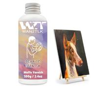 WAN2TLK Vernis Acrylique, Vernis Peinture Acrylique, Scelle et Protège Les œuvres d'art, Non Toxique, Scelleur pour Peinture Acrylique Artistique pour Artistes, Peintres et Enfants (100 ml/mat)