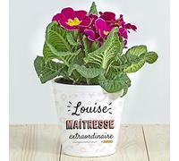 Wanapix | Pot de Fleurs Personnalisé | Cadeaux pour profs et maîtresses/Enseignants/éducateurs | Pot Plante Intérieur | Céramique | Maîtresse Extraordinaire
