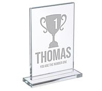 Wanapix | Trophée Personnalisé avec Nom et Texte | Verre Gravé (échelle de Gris) | Trophée Personnalisé | Boîtier de Rangement Inclus | Rectangulaire | Premier Prix