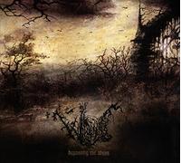Wanderer - Bypassing The Abyss-Digi [Import]