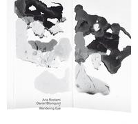 Aria Rostami & - Wandering Eye [Import]