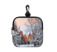 Wandering in the Winter Light Square Zipper Pouch with All-Over Print,Waterproof Small Organizer Bag Lightweight Durable for Coins Cards, Keys for Travel Daily Use