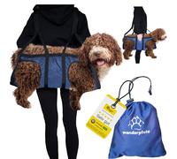 Wanderpfote Aide au transport pour chien - Sac à dos d'urgence lors de randonnées ou sac de transport pour chien au quotidien dans les escaliers - Petit, léger, robuste, de qualité supérieure -