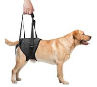WANDGU Aide au transport de chien XL : harnais de levage pour chien, harnais de levage pour pattes arrière, aide à la mobilité réglable pour les pattes arrières en cas de faiblesse, de blessure ou de