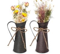 WANDGU Lot de 2 pots de fleurs décoratifs vintage en métal style campagnard français avec cruche shabby chic vintage uniques pots de fleurs pour décorer le salon, la décoration de mariage, les fêtes à