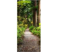 wandmotiv24 Papier Peint de Porte Chemin de randonnée en forêt Ancienne, Arbres, Nature 90 x 200 cm (L x H) - autoadhésif Photo, Moderne M1131