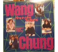 Wang Chung - Fire In The Twilight