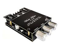 WANGCL Carte d'amplificateur Bluetooth HiFi stéréo 2.0 TPA3116D2-2 x 100 W - Module d'amplificateur Audio - Contrôle des Basses et des aigus Bleues 5.0 - Double Canal AMP