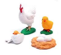 WANGCL Cycle de Vie des Poussins, Cycle de Vie des Animaux hautement simulé Modèle d'apprentissage des Animaux en 4 Parties Jouets éducatifs pour Les Tout-Petits