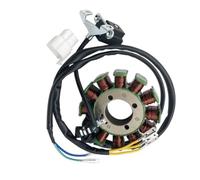 WANGLCNSDB Stator d'allumage adapté for Shineray XY250ST-9 Haili SP307-J