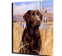 WANGMAOMAO DIY Peinture par Numéro pour Adultes Peindre par Nombre Kit sur Toile pour labrador brun Cadeau de jouet de peinture peint à la main16*20 Pouces -sans cadre