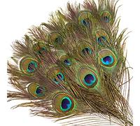 wangruida Lot de 50 Plumes Naturelles œil de Paon 25-30 cm pour Loisirs créatifs, Mariage, Vacances, décoration de Noël