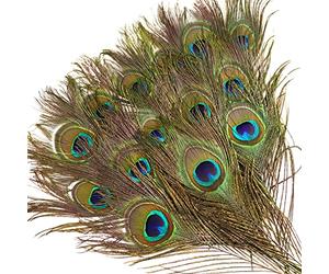 wangruida Lot de 50 Plumes Naturelles œil de Paon 25-30 cm pour Loisirs créatifs, Mariage, Vacances, décoration de Noël