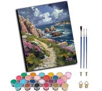 WANGWANGMIAO Peinture par Numéro Adulte,Paysage de sentier rocheux en bord de mer 40x50cm,Diy Tableau Peindre par Nombre pour peindre,cadeaux peints à la main Home Decor,avec cadre
