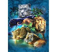 WANGXIAO Diy Peinture au Numero pour Adulte,Peinture à l'huile numéro Kit débutant peinture à l'huile Wall art,40X50Cm,Rois des animaux : tigres, lions et léopards,sans cadre