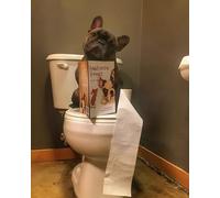 WANGXIAO Peinture Numero Adulte Kits de Peinture au Numéro Peinture par Numéros Pour la Décoration de la Maison,40x50cm,Chien de toilette Bouledogue français,sans cadre