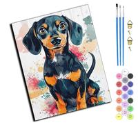 WANGXIAO Peinture par Numéro Adulte,40x50cm,Diy Tableau Peindre par Nombre pour peindre,cadeaux peints à la main Home Decor,Teckel coloré,sans cadre