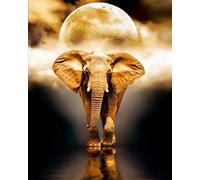 WANGXIAO Peinture par Numéros pour Adulte,DIY Paint by Numbers avec Peinture Acrylique pour Décoration de la Maison,40x50 cm,Éléphant de lune Animal,sans cadre