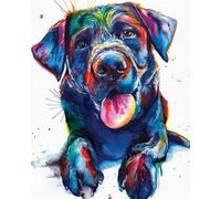 WANGXIAO Peinture par Numéros pour Adulte,DIY Paint by Numbers avec Peinture Acrylique pour Décoration de la Maison,40x50 cm,Chien labrador noir aquarelle coloré,sans cadre