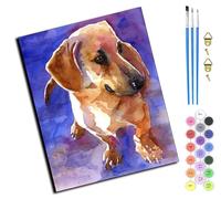 WANGXIAO Peinture par Numéros pour Adulte,DIY Peinture Acrylique pour débutants Facile sur Toile 40×50 cm avec peintures et pinceaux,Teckel, teckel, teckel, chien animal,sans cadre