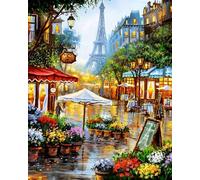 WANGXIAO Peinture par Numéros pour Adulte,DIY Peinture Acrylique pour débutants Facile sur Toile 40×50 cm avec peintures et pinceaux,Fleuriste à Paris,sans cadre