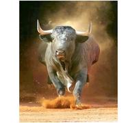 WANGXIAO Peinture par Numéros pour Adulte,Kits de Peinture au Numéro Avec Pinceaux Peinture de Dessin de Pigment Acrylique,Vloisirs Créatifs,40x50cm,Vache qui court,sans cadre