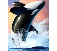 WANGXIAO Peinture par numéros pour Adultes débutants,kit de Peinture à l'huile sur Toile par numéro avec Peinture Acrylique pigmentée,40x50 cm,Baleines Dauphins de mer,sans cadre