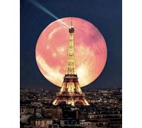 WANGXIAO Peinture par numéros pour adultes débutants,Peinture à l'huile à la main,Décoration de la maison,50 x 40 cm,Paris Pink Moon,sans cadre