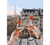 WANGXIAO Peinture par numéros pour adultes,peinture à l'huile par numéros sur toile artisanat avec pinceaux peintures acryliques,40x50cm,Vin rouge aux fraises de Paris,sans cadre