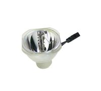 WANGYCYGP V13H010L98 ELPLP98 accessoires de remplacement de lampes de projecteur Convient pour EPSON CO-FH01 CO-W01 CO-FH02 CH-A100 Pièces de rechange(V13H010L98-CB)