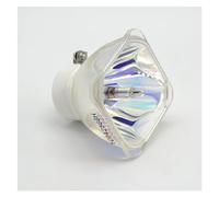 WANGYIWH Projecteur nu NP07LP à vendre, compatible avec les modèles NEC NP14LP, NP15LP, NP16LP, M260XS, M230X, NP-M280XS et NP-ME270X.