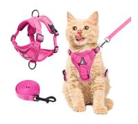 Wanheart Ensemble Harnais et Laisse d'été pour Chat, Anti-Fuite, réglable, en Maille Douce, pour Tous Les Types de Chats, Chats (Rose Rouge, Taille S)