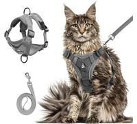 Wanheart Harnais et laisse d'été pour chat, anti-fuite, réglable, en maille douce, ensemble harnais de poitrine pour tous les types de chats (gris, taille XL : 7,5 à 10 kg)
