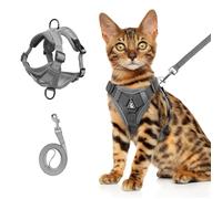 Wanheart Harnais et laisse d'été pour chat, anti-fuite, réglable, en maille douce, pour tous les types de chats (gris, 5 à 7,5 kg)