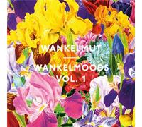 Wankelmoods volume 1 CD