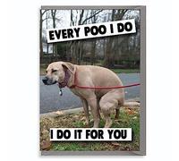 Wanky Candles Carte d'anniversaire humoristique pour chien avec inscription « Dog Every poo I do it for you » PET18