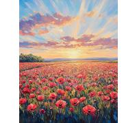 WANMIU Peinture par Numero Adulte DIY Peinture à l'huile Numéros Paysage de champs de coquelicots Toile Paint by Numbers Peindre par Nombre Kits sans Cadre 40x50cm