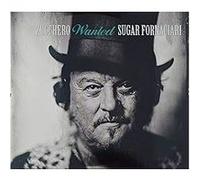 Zucchero Sugar Fornaciari – Wanted (the Best Collection) – CD