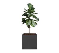 wanwanper Caisse à plantes, noire, pour l'extérieur et l'intérieur, bac à fleurs carré pour l'intérieur et l'extérieur, 50 x 50 x 50 cm
