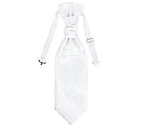 WANYING Homme Ascot Tie Plastron Cravate de Mariage Pré-nouée avec Fermeture à Crochet Réglable pour Mariage ou Sports équestres - Paisley Blanc