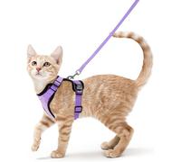 Wanym Harnais Chat Anti évasion Ensemble, Harnais Chaton Réfléchissant, Harnais Chat Respirant Et Réglable, Collier Harnais Et Laisse en Maille pour Animaux Compagnie Lapin Chats,Violet,S
