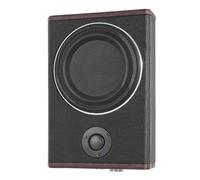 WAPHOERTE Caisson de Basse Voiture amplifié de 8 Pouces Caisson de Basses Actif subwoofer de Voiture HiFi sous siège, Basse, avec Blindage du Haut-Parleur et Fermeture sur la Partie inférieure